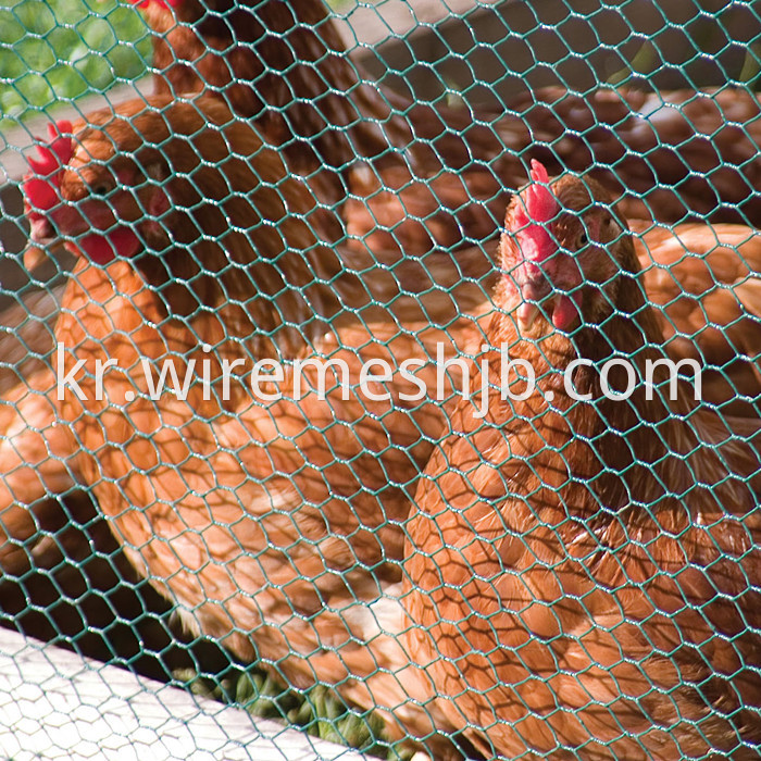 Hexagonal poultry wire fence